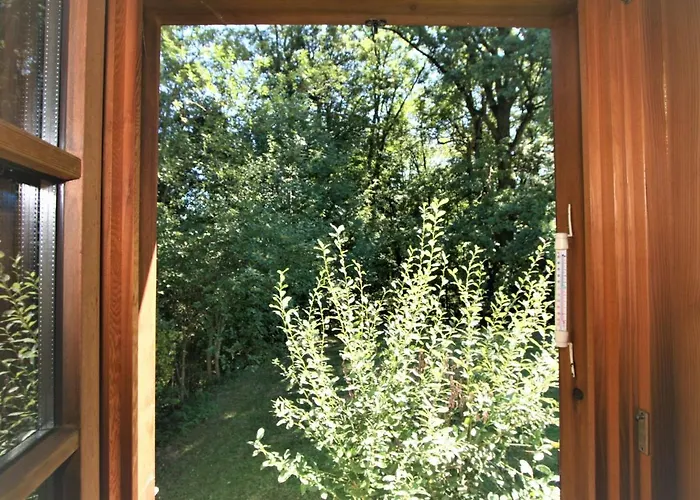 Vogelhuette By Interhome Vakantiehuis